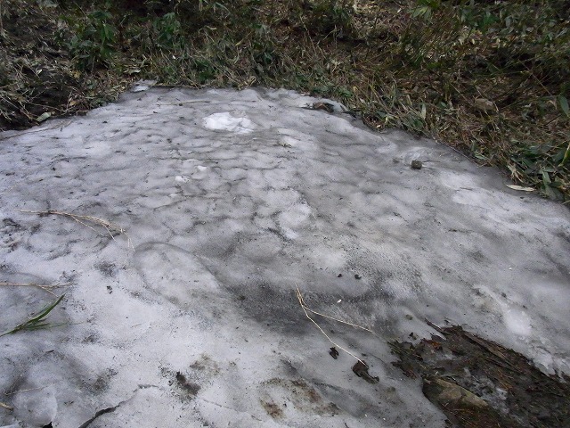 f0157901_181562.jpg