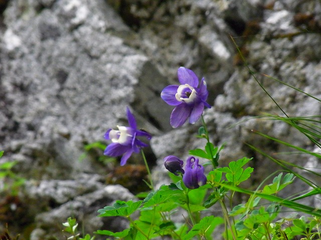 f0157901_1843752.jpg