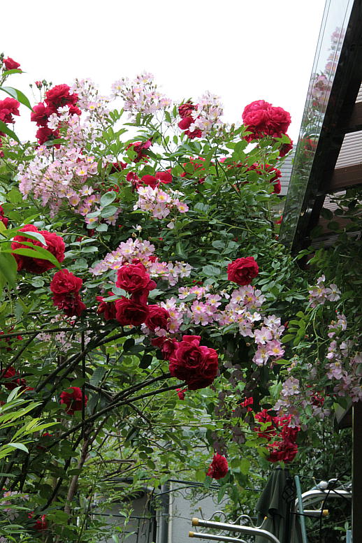 d0166303_062957.jpg