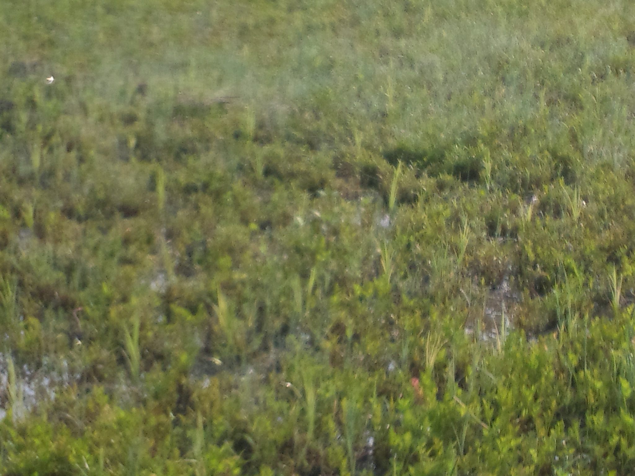 c0126205_1615425.jpg