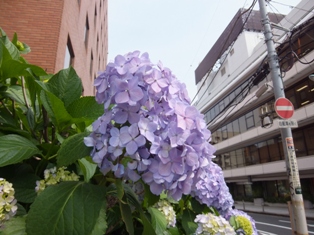 b0079206_15534591.jpg