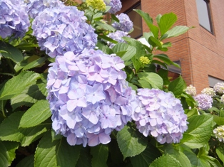 b0079206_15553267.jpg