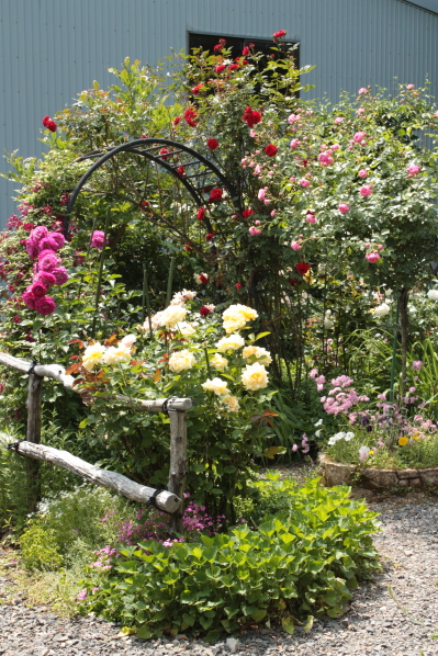 d0001008_15295316.jpg