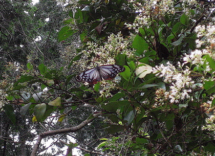 a0164011_21132855.jpg