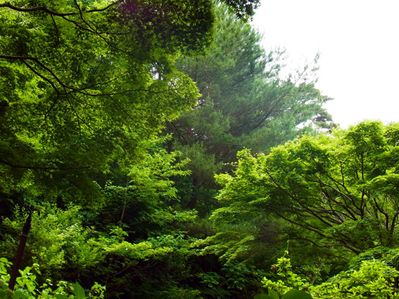 e0083517_115318.jpg