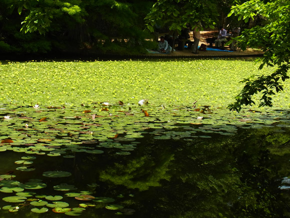 e0083517_122577.jpg