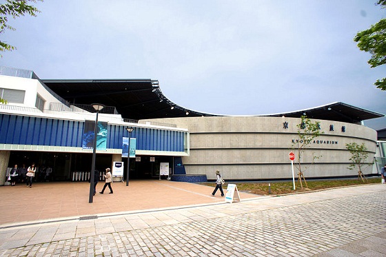 a0250024_14454291.jpg