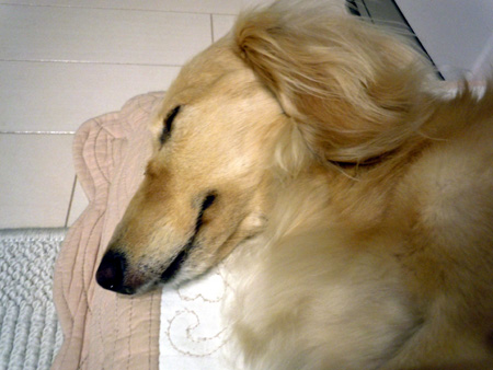 c0117831_23482440.jpg