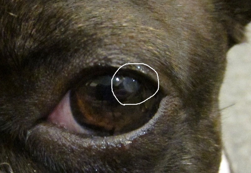 c0209932_2214941.jpg