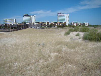 a0103335_4423689.jpg