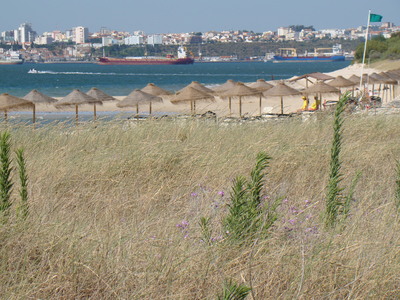 a0103335_455372.jpg