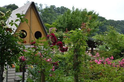 e0228938_17101650.jpg