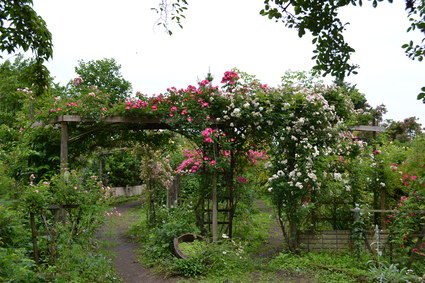 e0228938_17113341.jpg