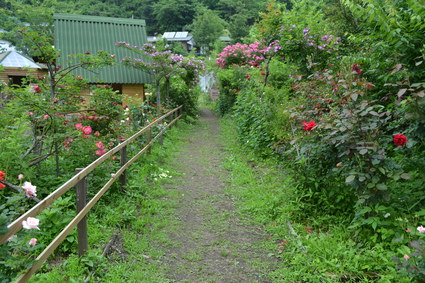 e0228938_17131142.jpg