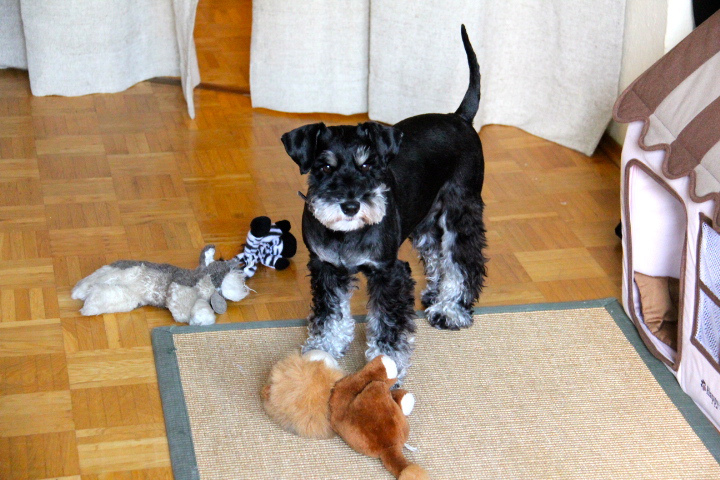 c0153740_0153667.jpg