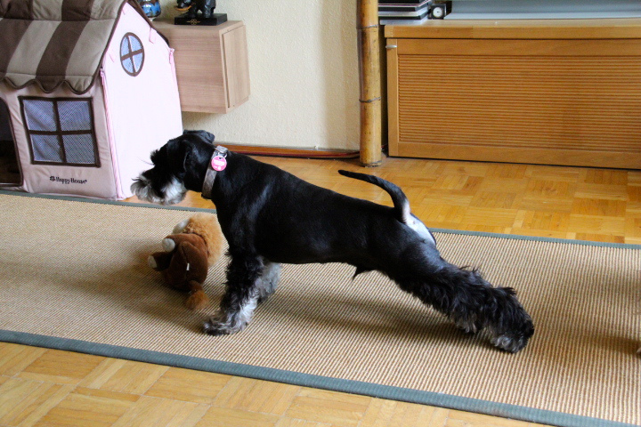 c0153740_0175012.jpg