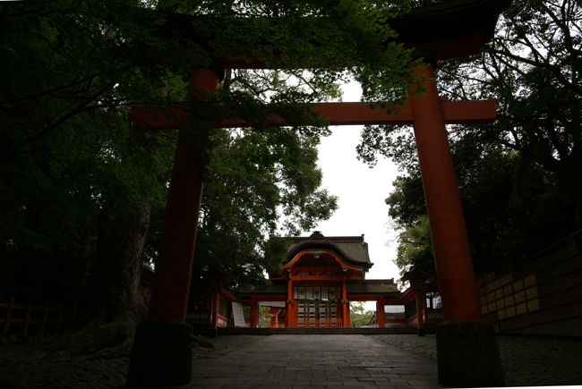f0214649_542019.jpg
