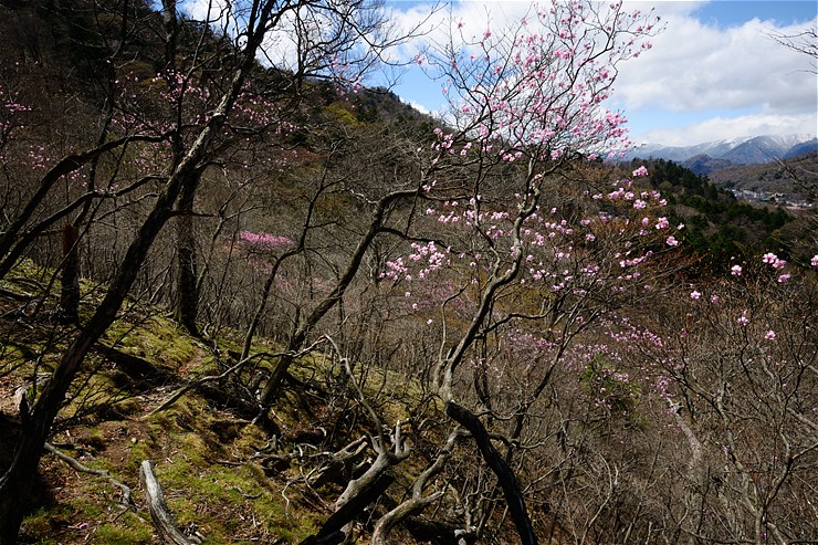 f0222161_15372566.jpg