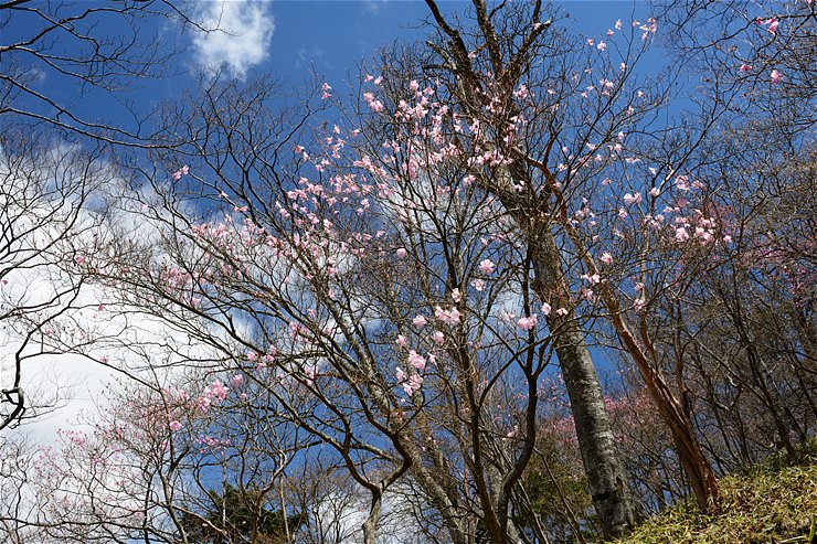 f0222161_15372995.jpg