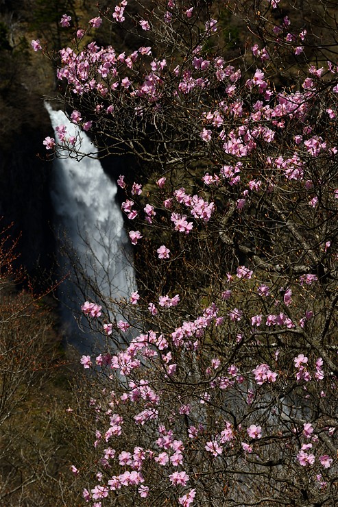 f0222161_15373780.jpg