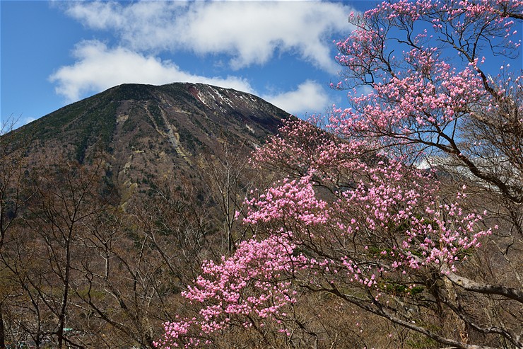 f0222161_15375057.jpg