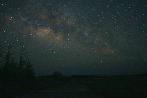 a0246566_953778.jpg