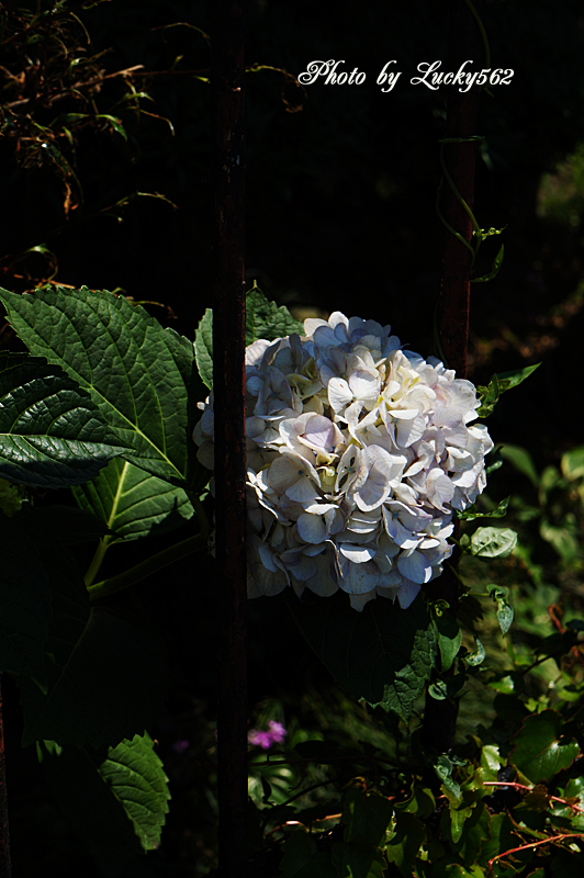 e0002371_21152918.jpg
