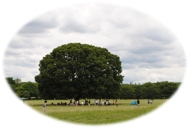 b0242873_0442930.png