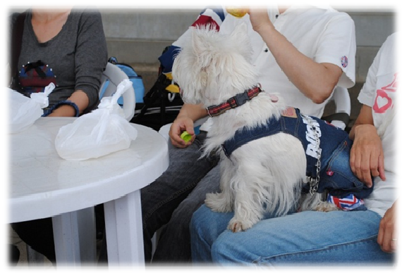 b0242873_0541874.png