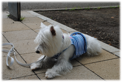 b0242873_15080.png