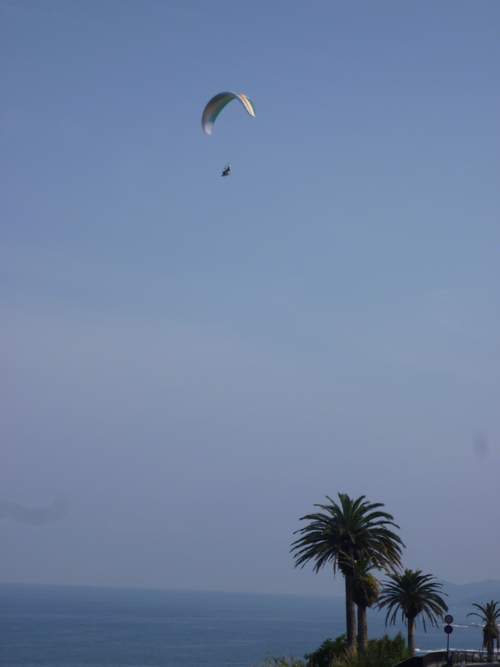 a0043276_2554662.jpg