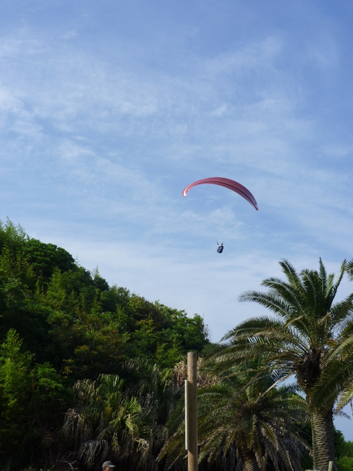 a0043276_323950.jpg