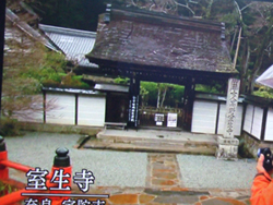 c0051781_22505498.jpg