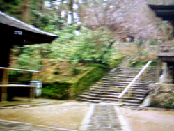 c0051781_22534739.jpg