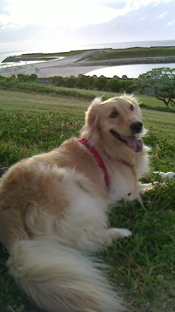 c0193396_18525066.jpg