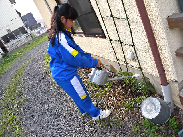 a0199297_16525038.jpg