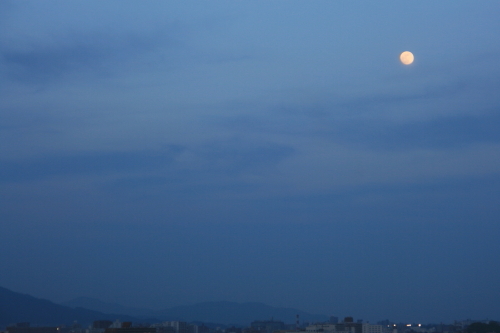 c0129498_21462716.jpg