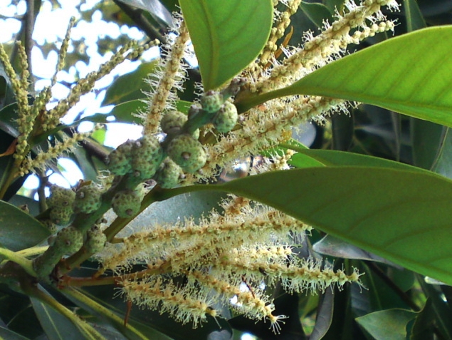 a0031000_9454086.jpg