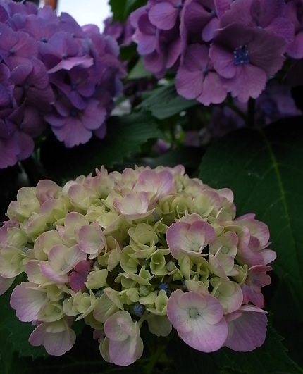 e0043700_23495898.jpg