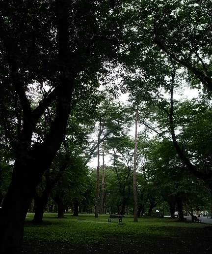 e0043700_23524115.jpg
