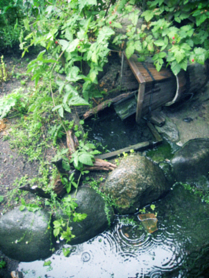 d0077603_9352169.jpg