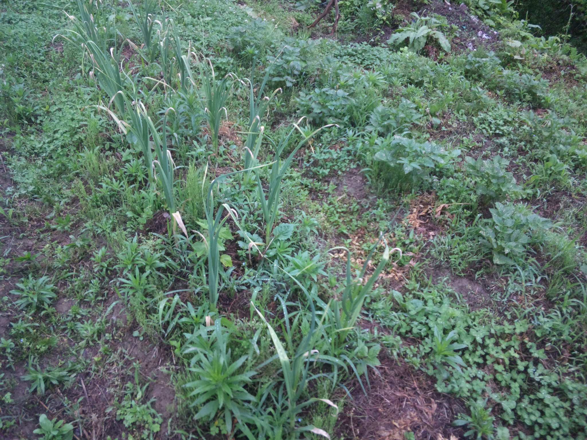 c0126205_1223503.jpg