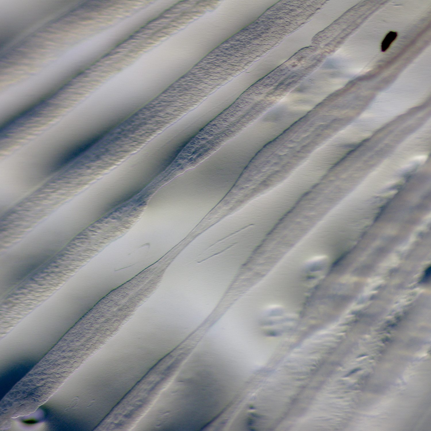 e0142611_22161168.jpg
