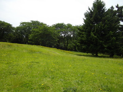 e0239312_026122.jpg