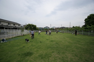 b0072515_095797.jpg