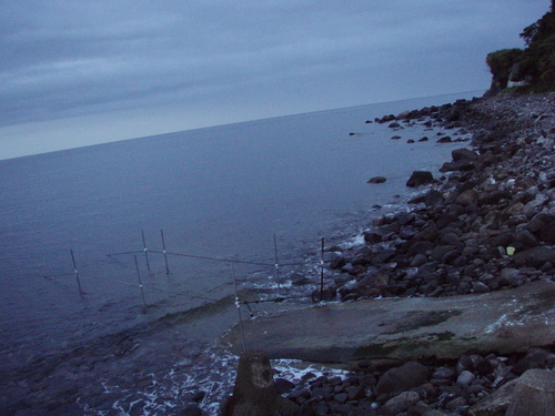 b0121015_7412964.jpg