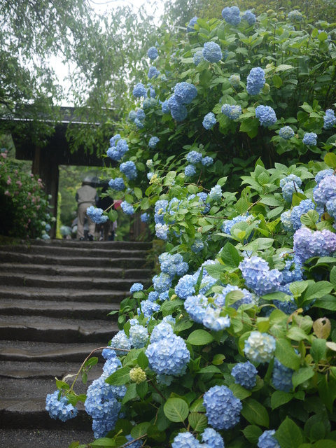 c0193017_17452385.jpg