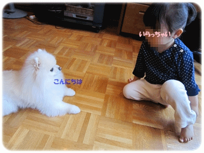 b0167519_12563778.gif