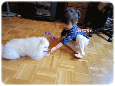 b0167519_1257643.gif
