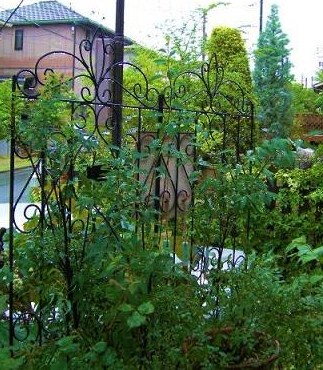 c0204121_8432054.jpg